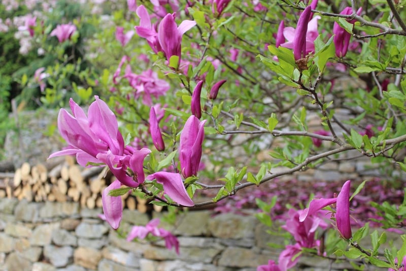 Secret Gardens